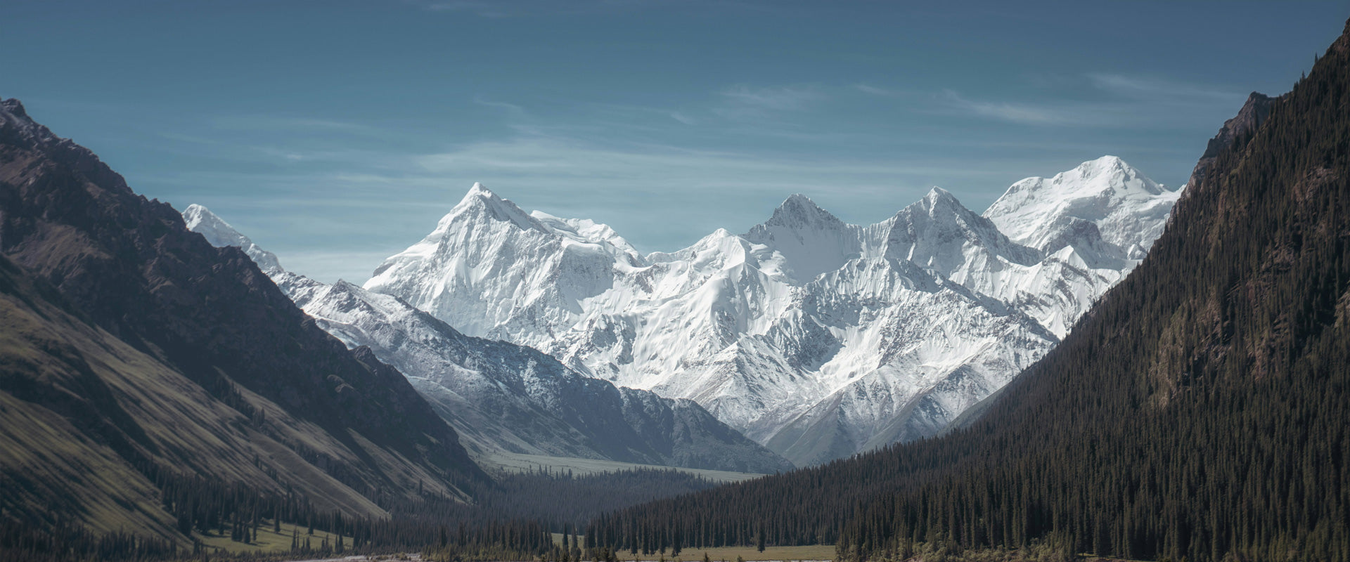 AWAKEN YOUR INNER ENERGY